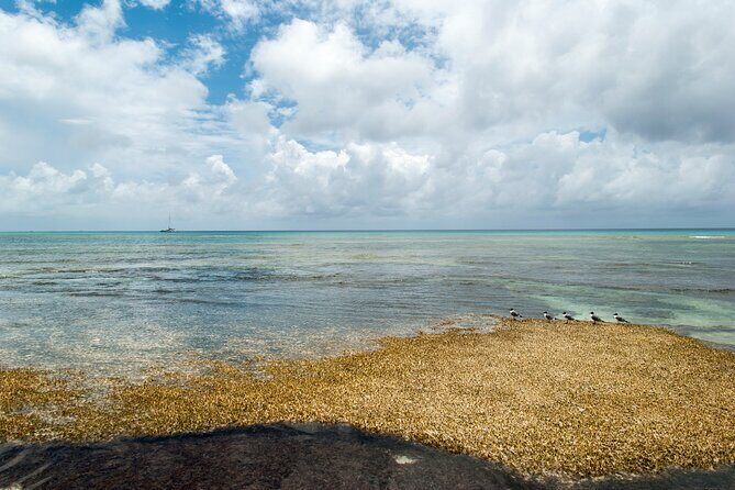 Private Tour Cockburn Town Cultural with Rum Cake - A Detailed Look at the Tour