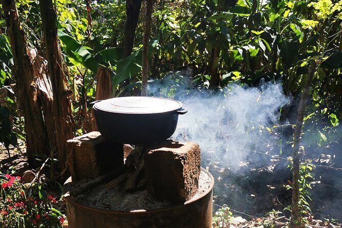 Private Tour: Cocoa, Coffee, Local Market and Cigars Factory - Final Thoughts