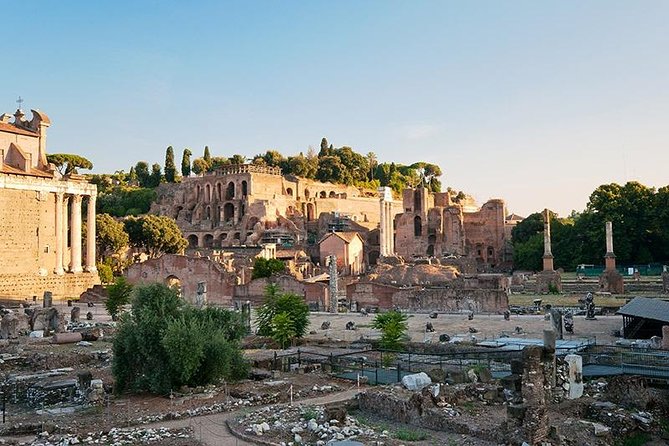 Private Tour: Colosseum & Imperial Rome Art History Walking Tour - 3207A - Whats Included in the Tour