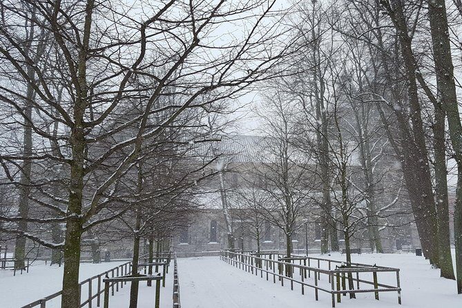 Private tour Copenhagen to Lund & Malmö City daytrip - Practical Tips for Travelers