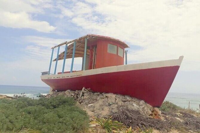 Private Tour Cozumel Buggy your way up to 4 People - Who Is This Tour Best For?