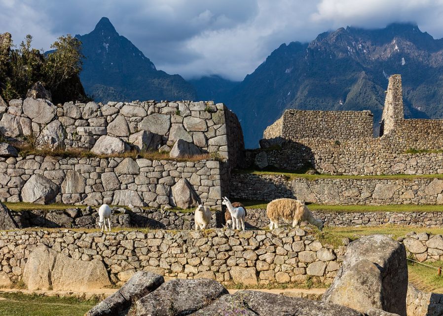 Private Tour Cusco - Sacred Valley and Machu Picchu 5D-4N - Booking and Cancellation