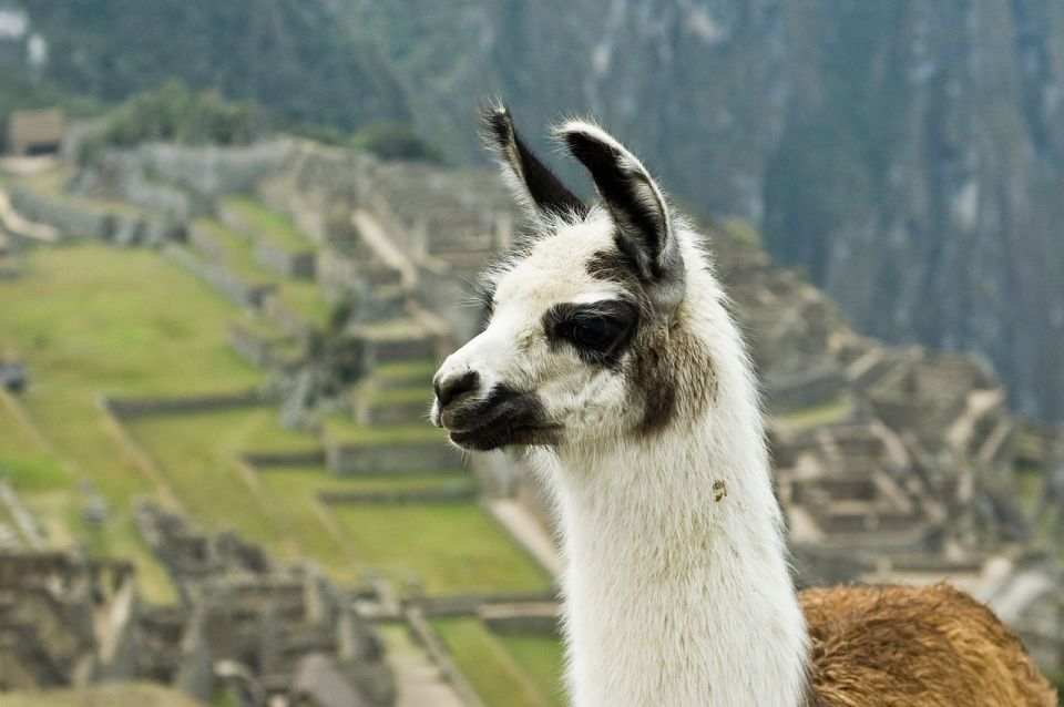 || Private Tour Cusco, Sacred Valley, Machu Picchu 7 Days || - Day 2: Sacred Valley Exploration