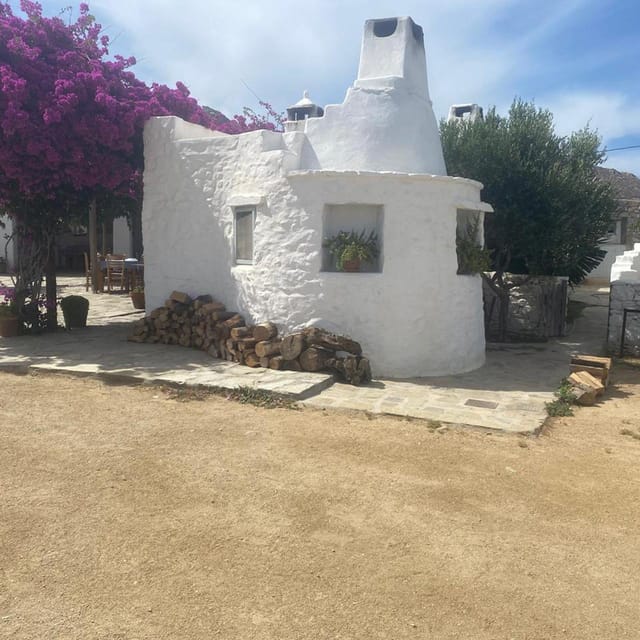 Private Tour: Customize Your Perfect Day in Mykonos - Summary of the Experience  