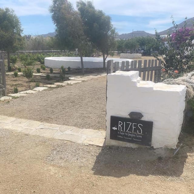 Private Tour: Customize Your Perfect Day in Mykonos - FAQ  