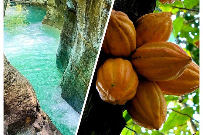Private Tour Damajagua Waterfalls and Dominican Flavours - Key Points