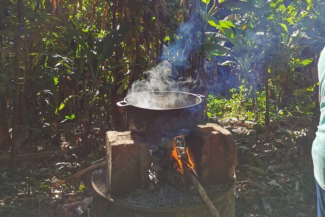 Private Tour Damajagua Waterfalls and Dominican Flavours - Final Thoughts on Value and Experience