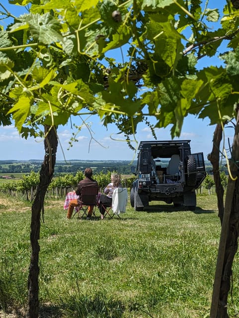 Private Tour Day in the Heart of the Cognac Vineyards - Scenic Drives and Photo Stops