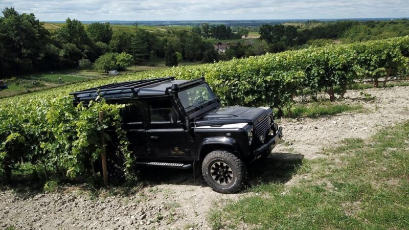 Private Tour Day in the Heart of the Cognac Vineyards - Authentic Encounters With Winegrowers