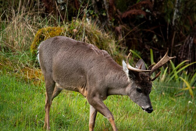 Private Tour Deer in the Chingaza Páramo and Suasie Trail - About Your Stay