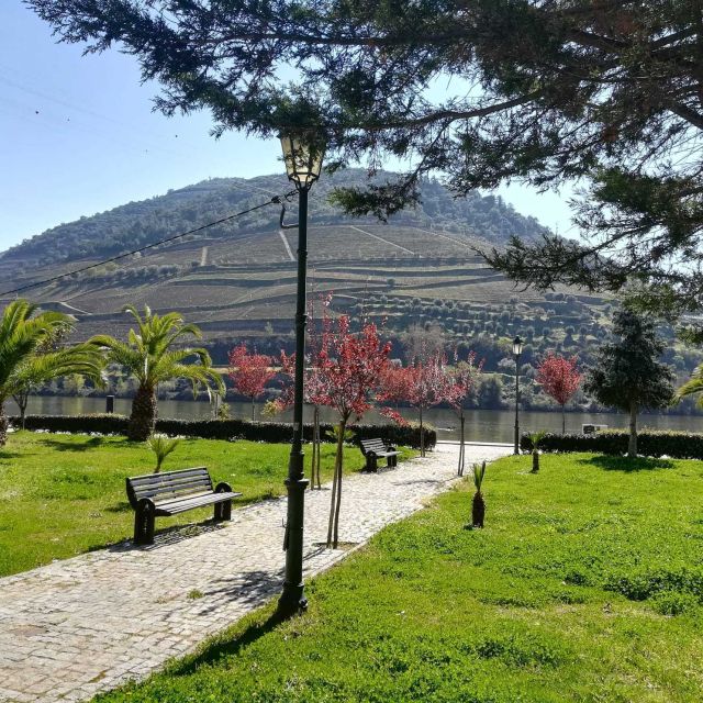 Private Tour: Douro Valley Wine and Food From Oporto - Pinhao Lunch and Leisure