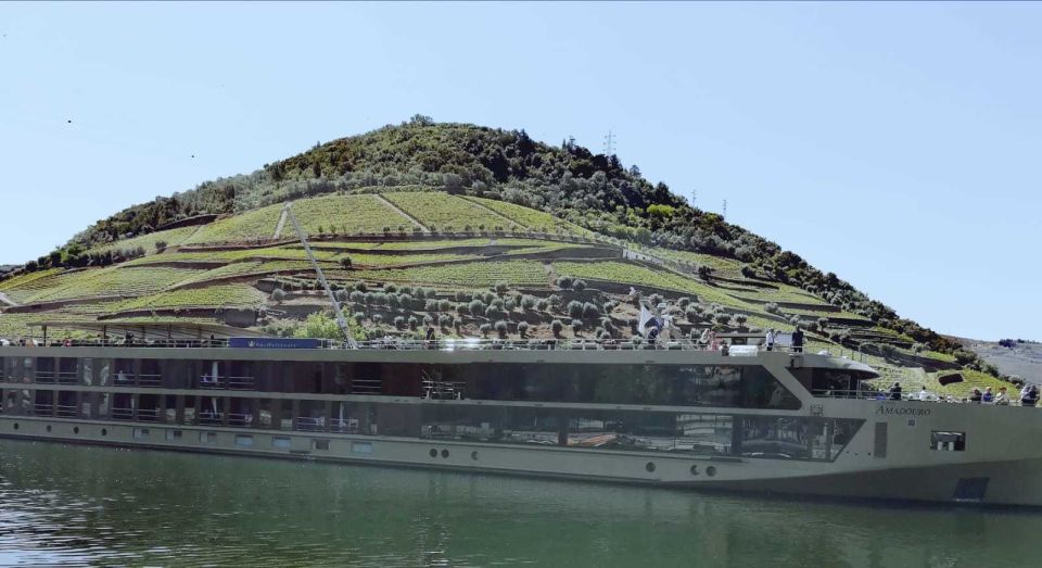 Private Tour: Douro Valley Wine and Food From Oporto - Pinhao Wine Tasting