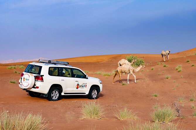 Private Tour : Dubai Desert 4x4 Safari With Camp Activities & BBQ Dinner - Important Information
