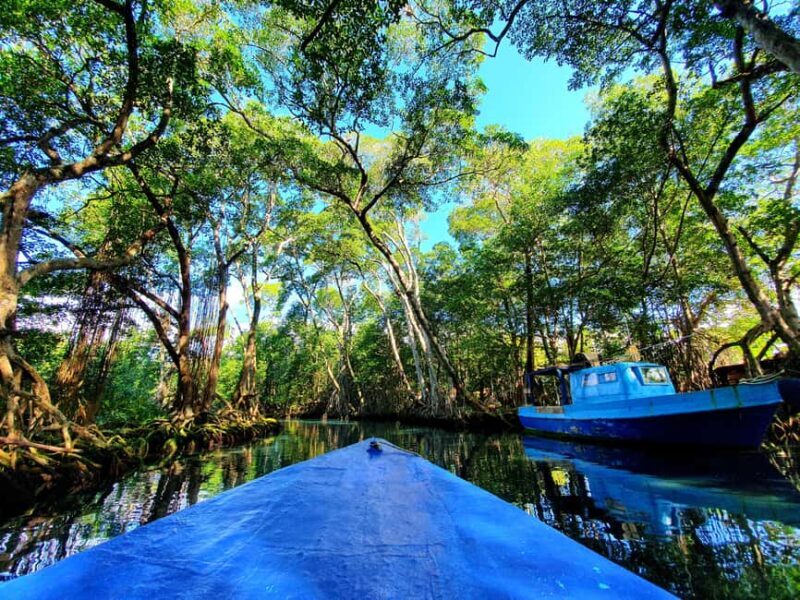 Private tour: Dudu cenotes + Playa Grande Beach + much more - An Overview of the Experience  