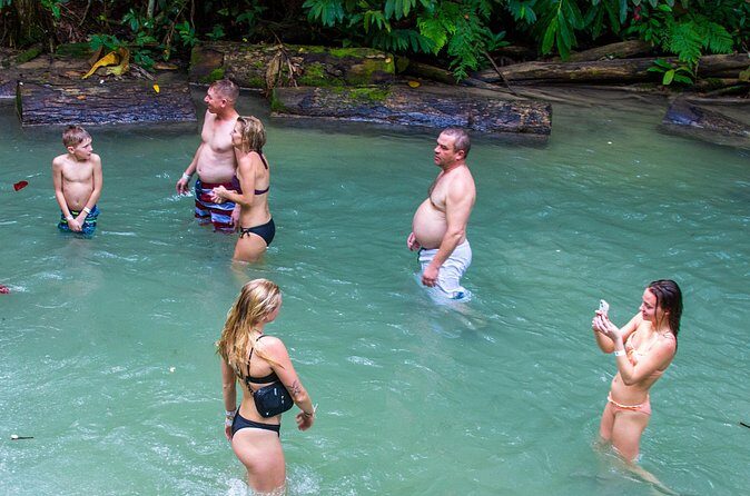 Private Tour - Dunn's River Falls and Ocho Rios Experience from Ocho Rios - Lunch and Shopping: A Taste of Jamaica  