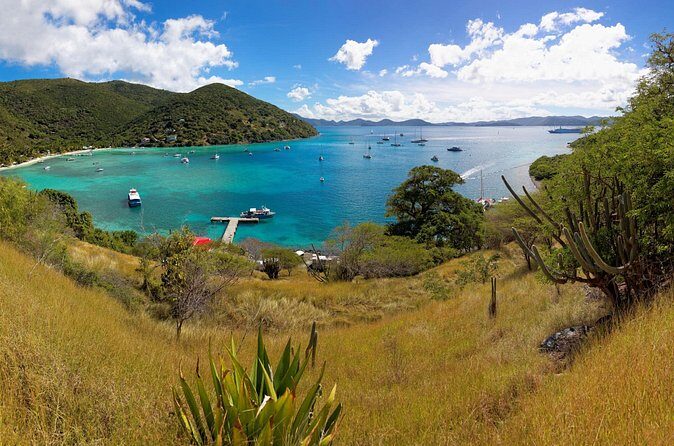 Private Tour ecret beaches and enjoy Snorkel - The Sum Up: Why It’s Worth Considering