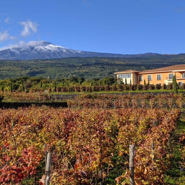 Private Tour Ercolano Ruines and Wine Tour Tasting up to 4 P - Recap