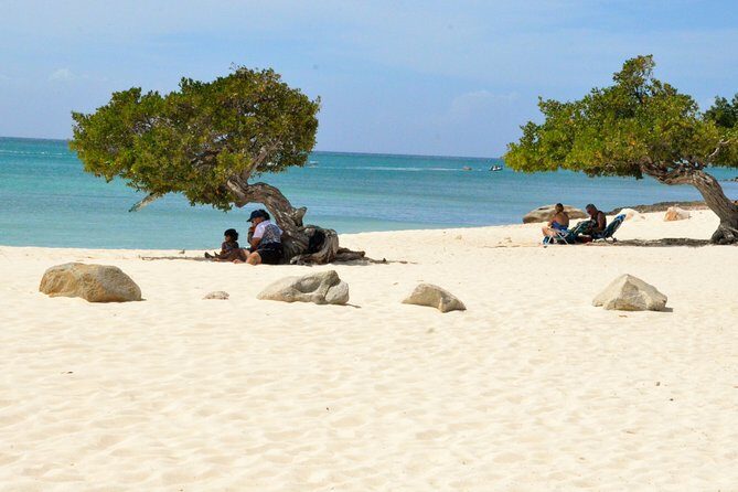 Private Tour: Essential Tour of Aruba - Starting Your Day: Hotel or Cruise Ship Pickup