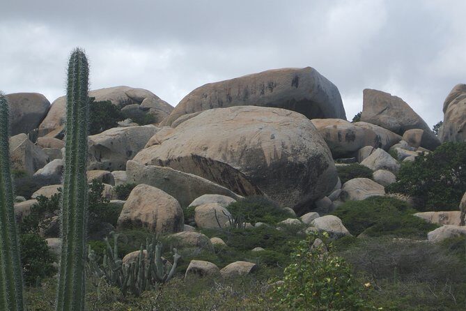 Private Tour: Essential Tour of Aruba - Optional Drop-Off at the Beach
