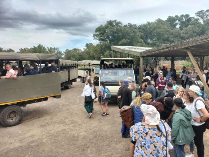 Private Tour - Experience Big-5 Safari in Cape Town - Personalized Safari Adventure