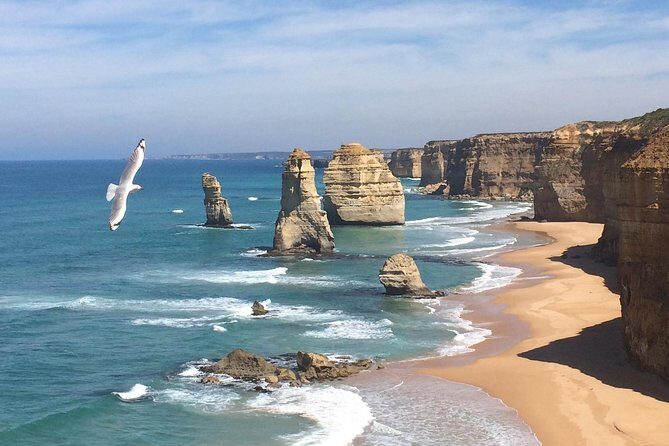 [PRIVATE TOUR] Express Great Ocean Road | Day Trip - Key Points