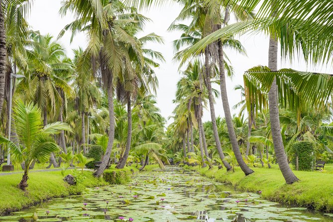 Private Tour: Floating Markets and Suan Sampran Day Trip From Bangkok - Itinerary and Schedule Details