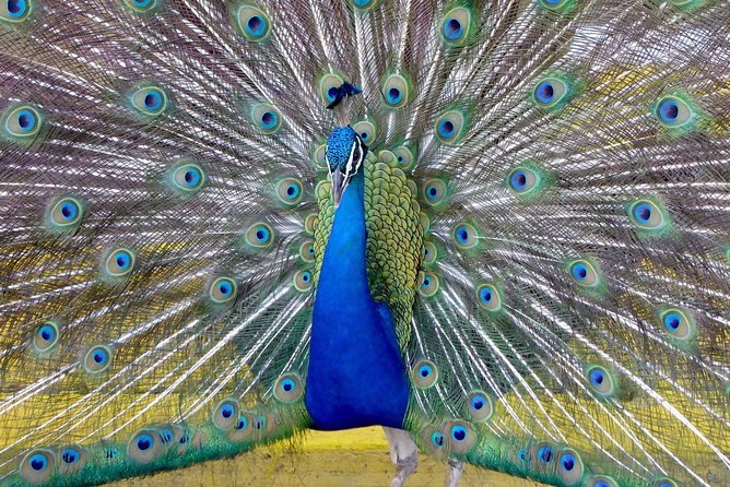 Private Tour: Florida Everglades Airboat Ride and Wildlife Adventure - Directions
