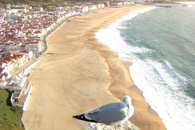 Private tour for 1 to 8 people: Fátima, Batalha, Nazaré and Óbidos - FAQ