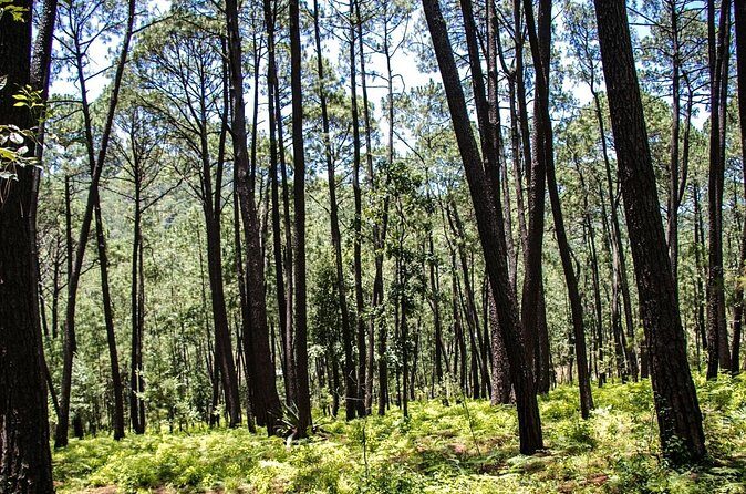 Private Tour for a Day of Adventure in Mazamitla Pueblo Mágico - Is This Tour Worth the Price?