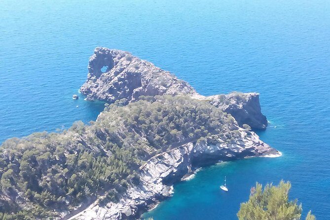 Private tour for my family from a cruise - Why Consider This Private Mallorca Tour?