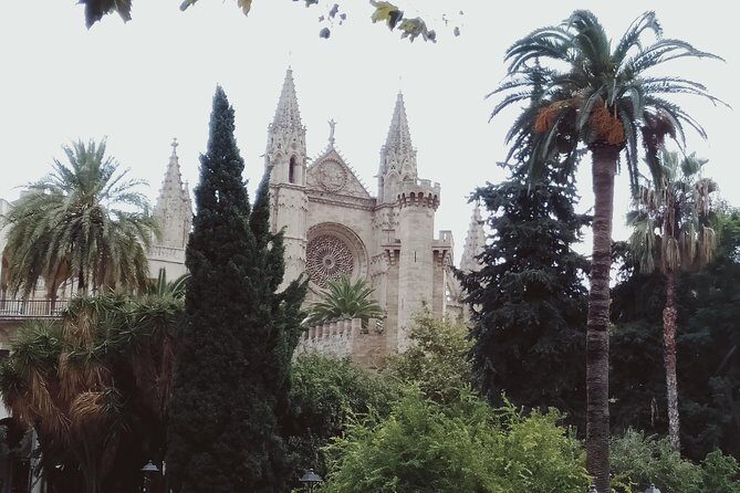 Private tour for my family from a cruise - FAQ