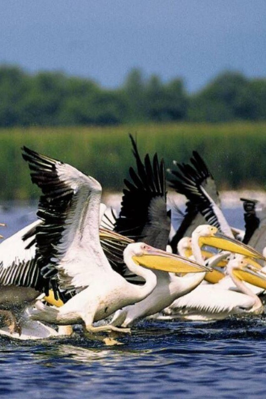 Private Tour From Bucharest to Danube Delta 2 Days Tour - Tour Itinerary Breakdown