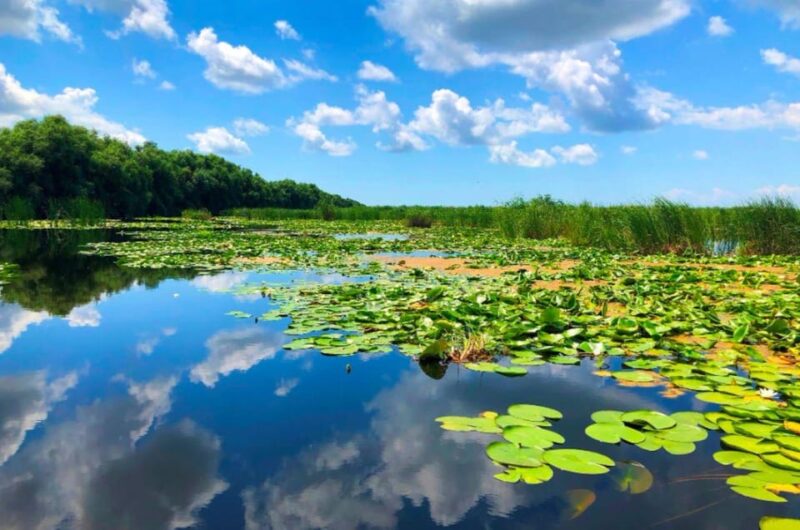 Private Tour From Bucharest to Danube Delta 2 Days Tour - Accommodation and Meals