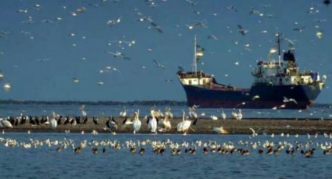 Private Tour From Bucharest to Danube Delta 2 Days Tour - Booking and Cancellation Policy