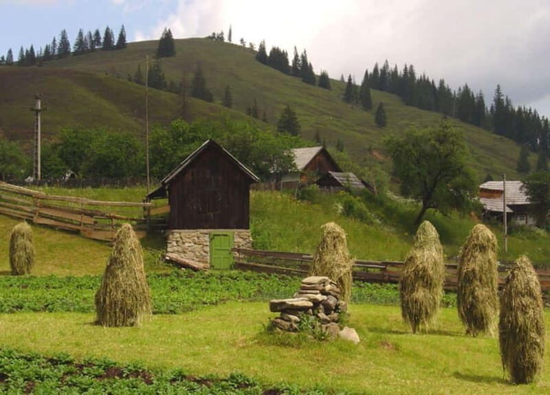 Private Tour from Bucharest to Painted Monasteries-UNESCO - The Sum Up
