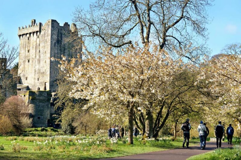 Private Tour from Dublin to Blarney Castle & Rock of Cashel - Private Tour from Dublin to Blarney Castle & Rock of Cashel