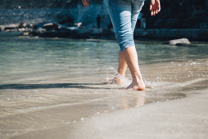 Private Tour from Florence to Pisa and Cinque Terre - Transportation and Logistics