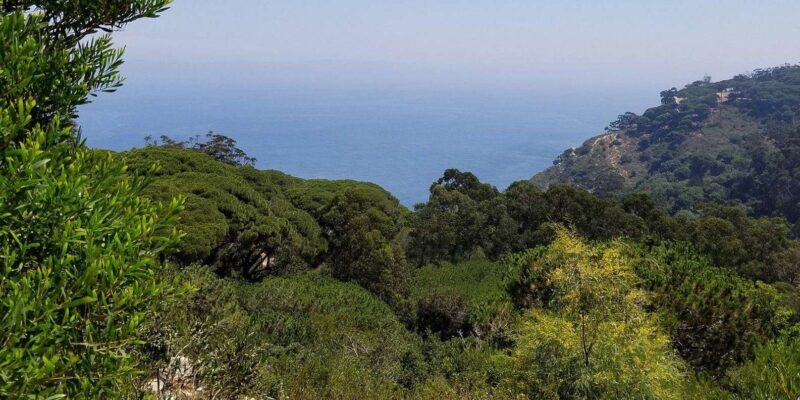 Private Tour From Gibraltar to Tangier - Good To Know