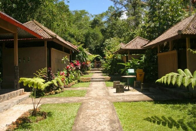 Private Tour From Leke-Leke Waterfall to Jatiluwih Rice Terrace - Health and Safety Guidelines