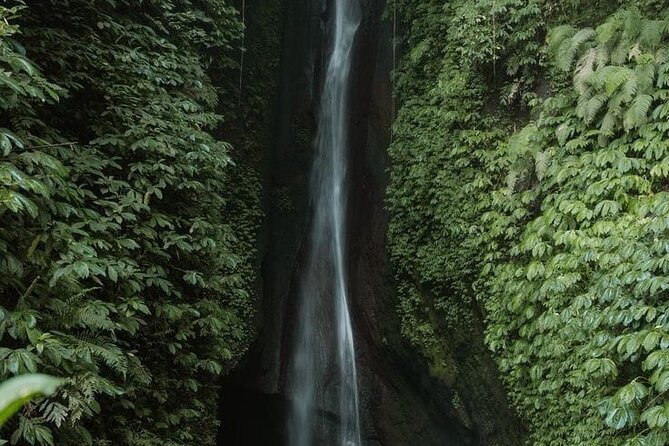 Private Tour From Leke-Leke Waterfall to Jatiluwih Rice Terrace - Booking Information