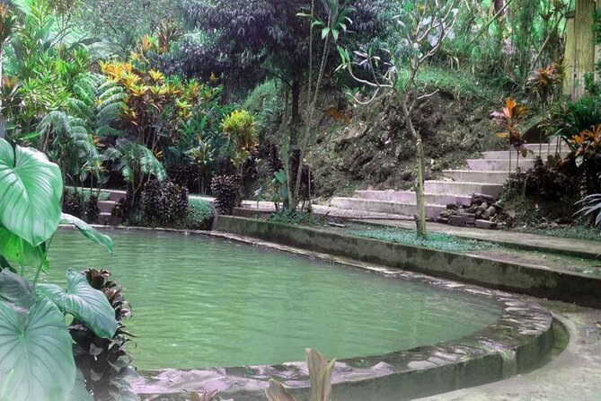 Private Tour From Leke-Leke Waterfall to Jatiluwih Rice Terrace - Customer Reviews