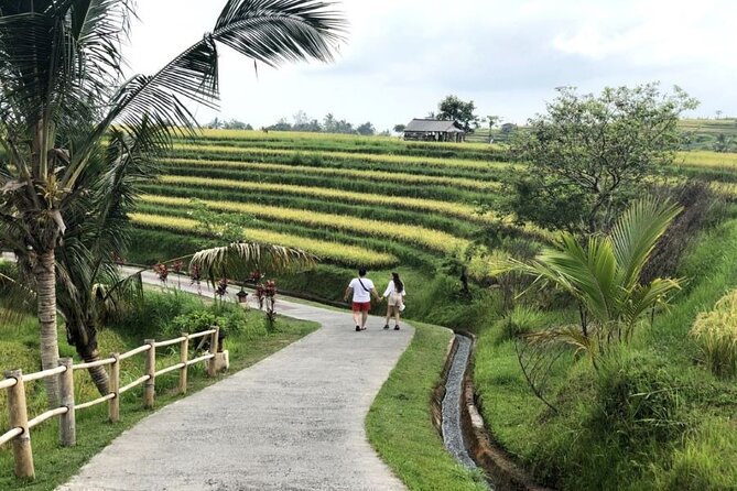 Private Tour From Leke-Leke Waterfall to Jatiluwih Rice Terrace - Additional Tips for Travelers