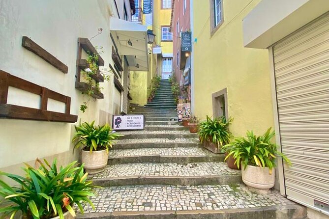 PRIVATE Tour From Lisbon: SINTRA & Pena Palace A 6-hour Adventure - Experienced Local Guide