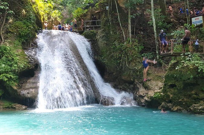 Private Tour from Montego Bay to Horse Back Riding and Bluehole - In-Depth Look at the Tour Experience