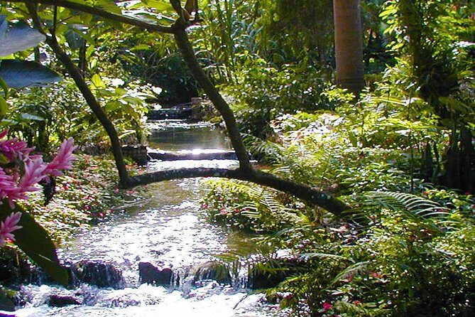 Private Tour From Ocho Rios To Konoko Falls And Garden and Shopping - Introduction: A Quiet Gem in Ocho Rios