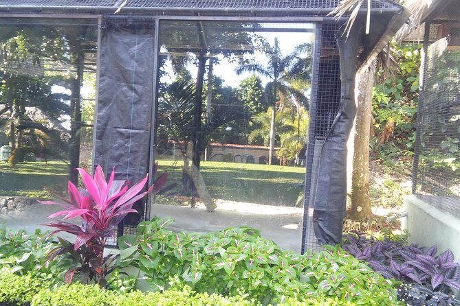 Private Tour From Ocho Rios To Konoko Falls And Garden and Shopping - Why This Tour Offers Good Value