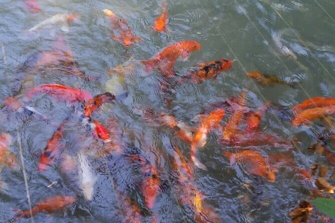 Private Tour From Ocho Rios To Konoko Falls And Garden and Shopping - Who Will Love This Tour?