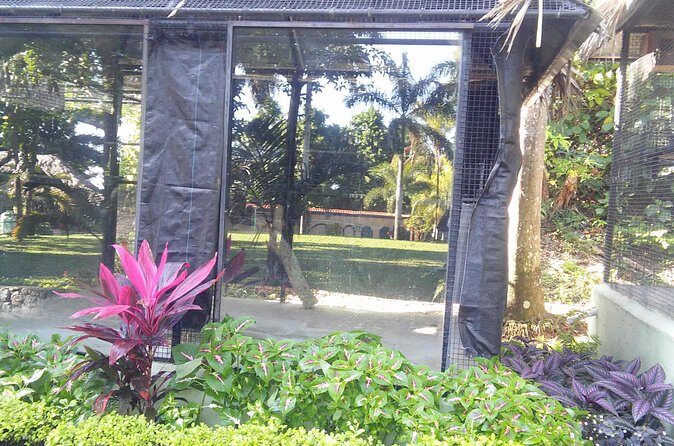 Private Tour From Ocho Rios To Konoko Falls And Garden and Shopping - FAQ