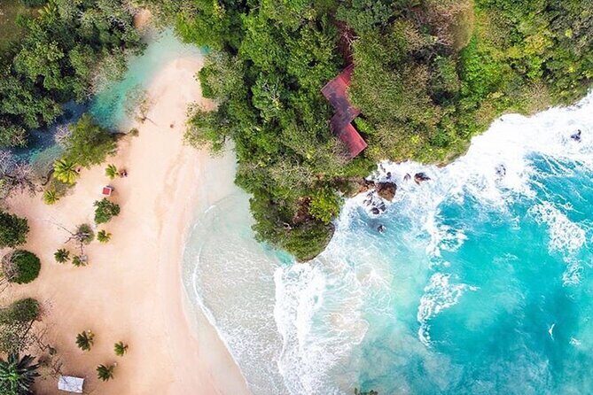 Private tour from Ocho Rios to Port Antonio & Frenchman cove - Key Points