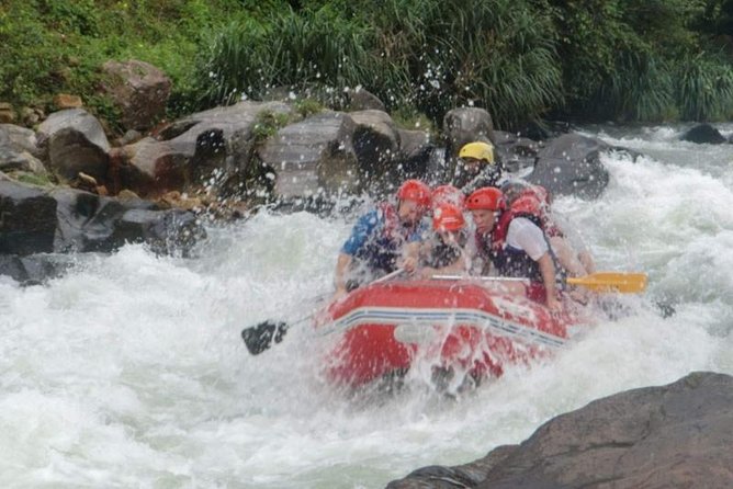 Private Tour From Ocho Rios to Rafting and Tubing - Accessibility and Fitness Level